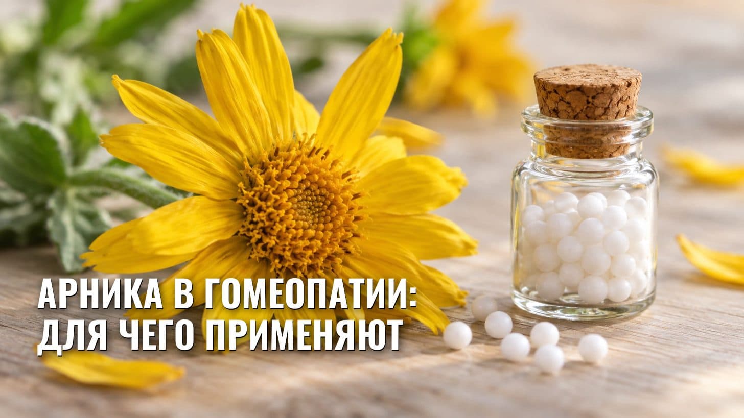 Арника в гомеопатии: для чего применяют