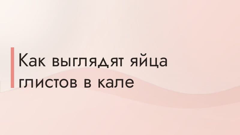 Как выглядят яйца глистов в кале