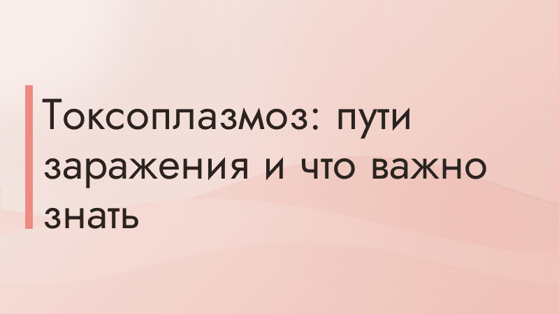 Токсоплазмоз: пути заражения и что важно знать