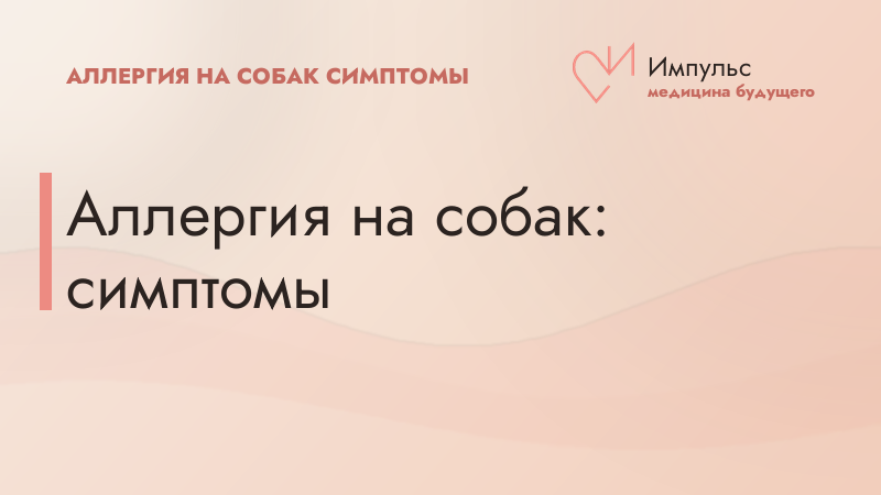 Аллергия на собак: симптомы
