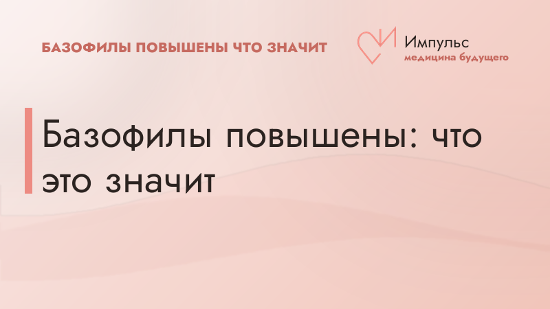 Базофилы повышены: что это значит