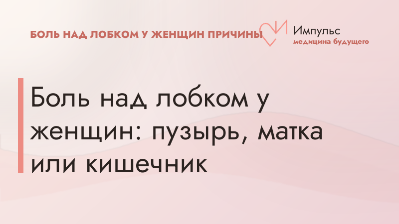 Боль над лобком у женщин: пузырь, матка или кишечник