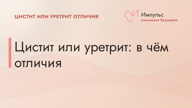 Цистит или уретрит: в чём отличия