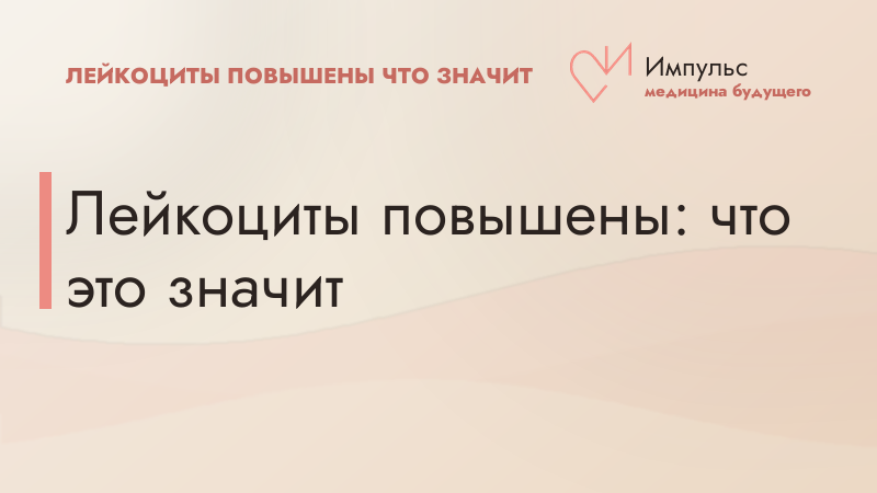 Лейкоциты повышены: что это значит