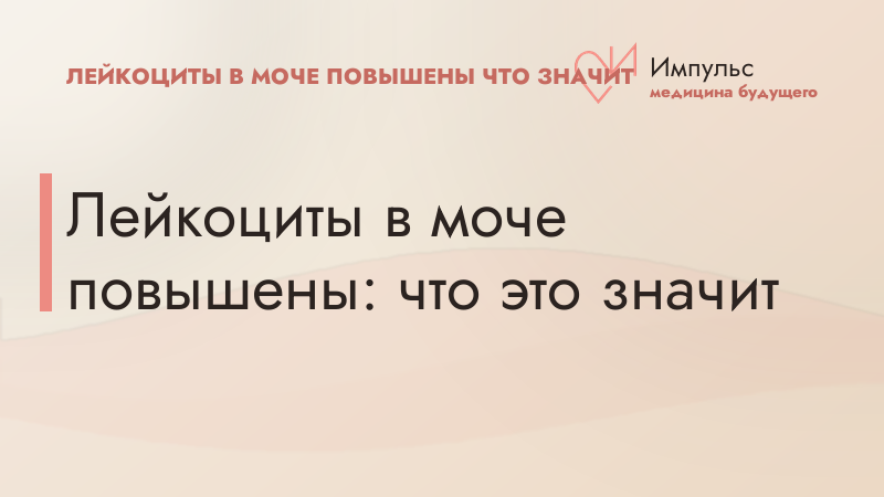 Лейкоциты в моче повышены: что это значит