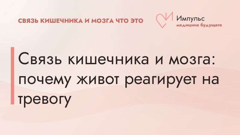 Связь кишечника и мозга: почему живот реагирует на тревогу